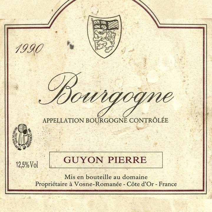 Guyon Pierre 1990